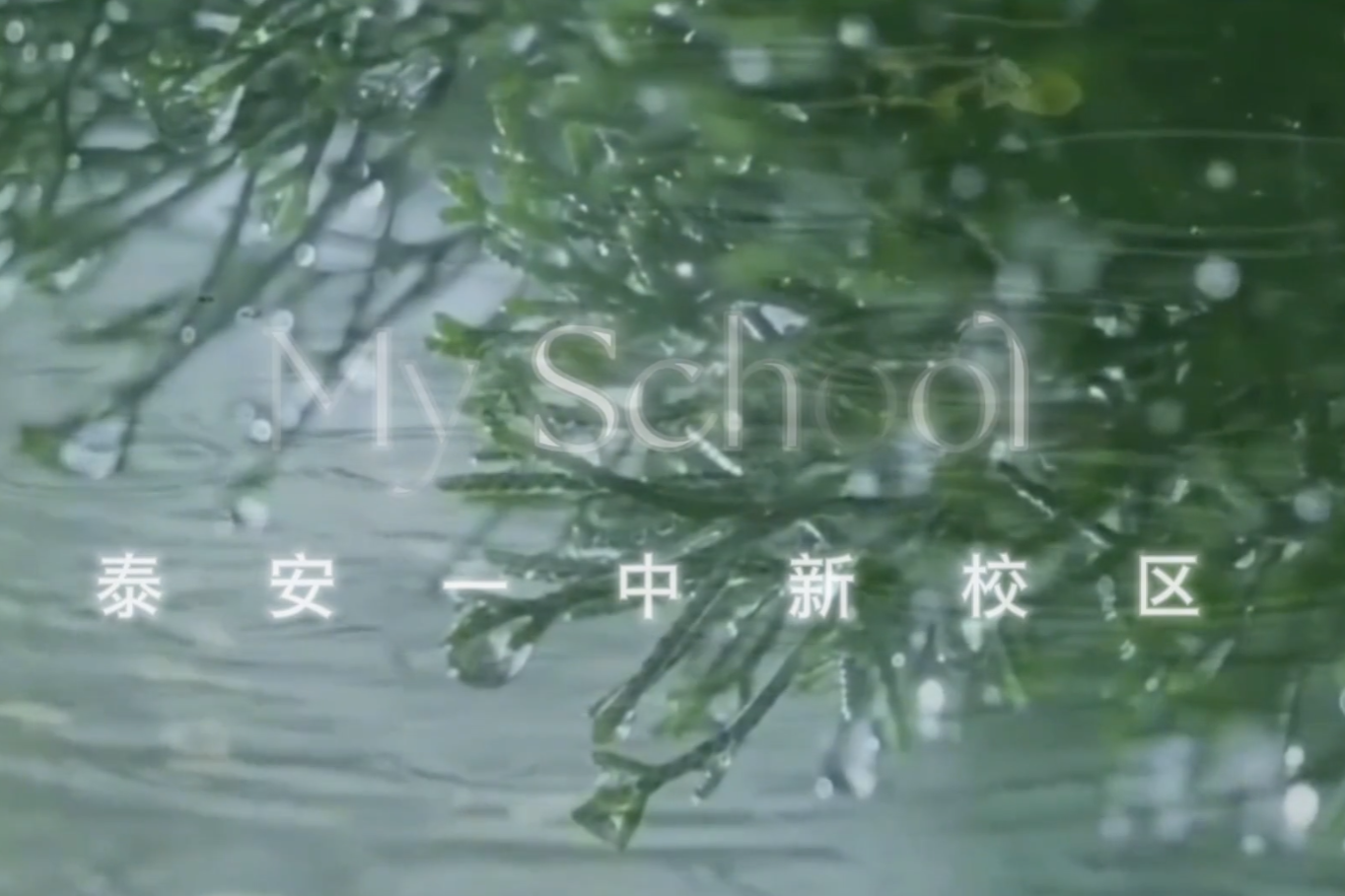 画中校园